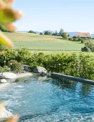 Pooldesign in Haag Pool landscape